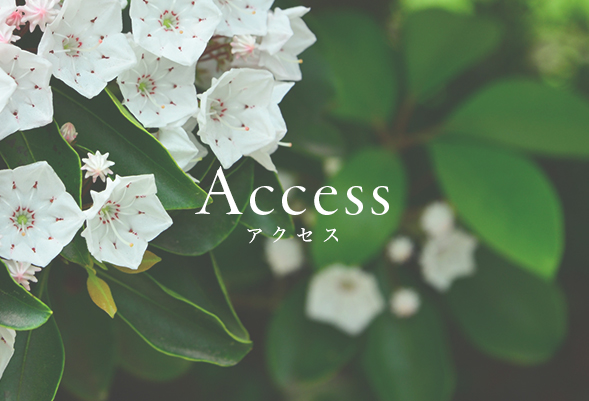 Access